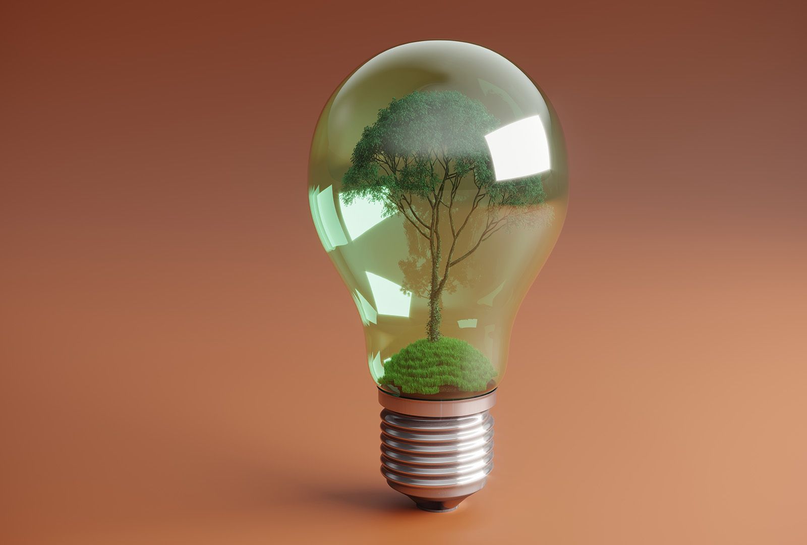 A lightbulb containing a tree and grass